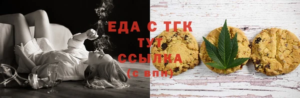 тгк Инсар