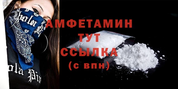 тгк Инсар