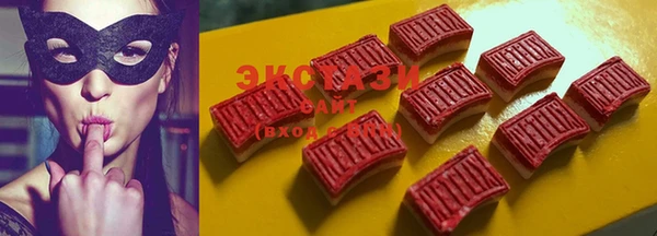 тгк Инсар
