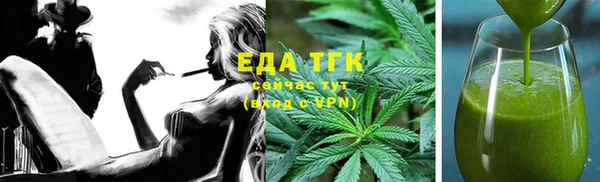 тгк Инсар