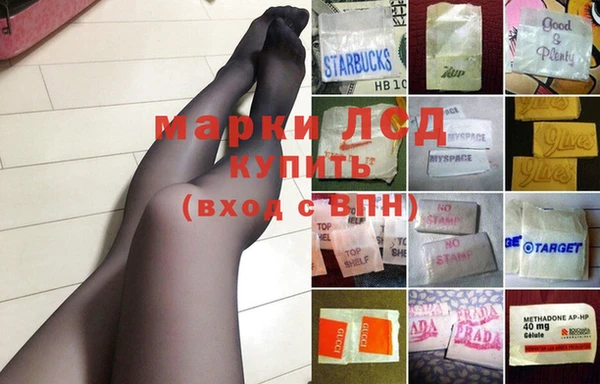 тгк Инсар