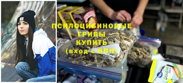 apvp Инта