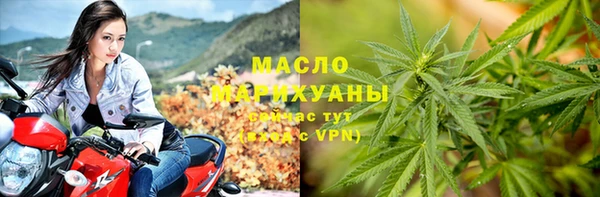 тгк Инсар