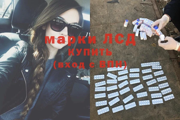 тгк Инсар