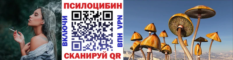 Купить где  Ильский  Галлюциногенные грибы прущие грибы 